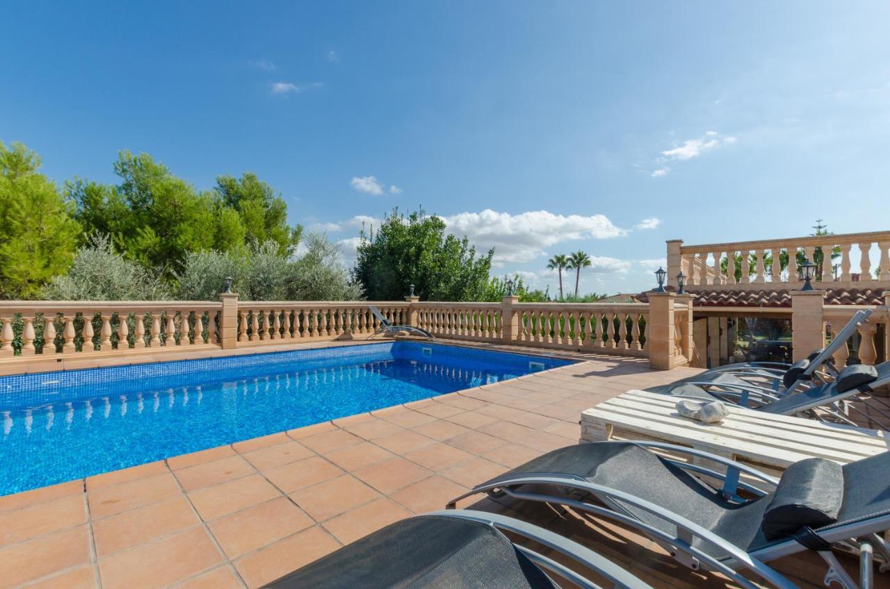 Garballo Villa Marratxí